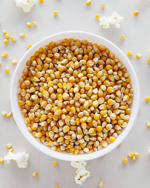 Popcorn kukurydza ziarno 5 kg domowy popcorn