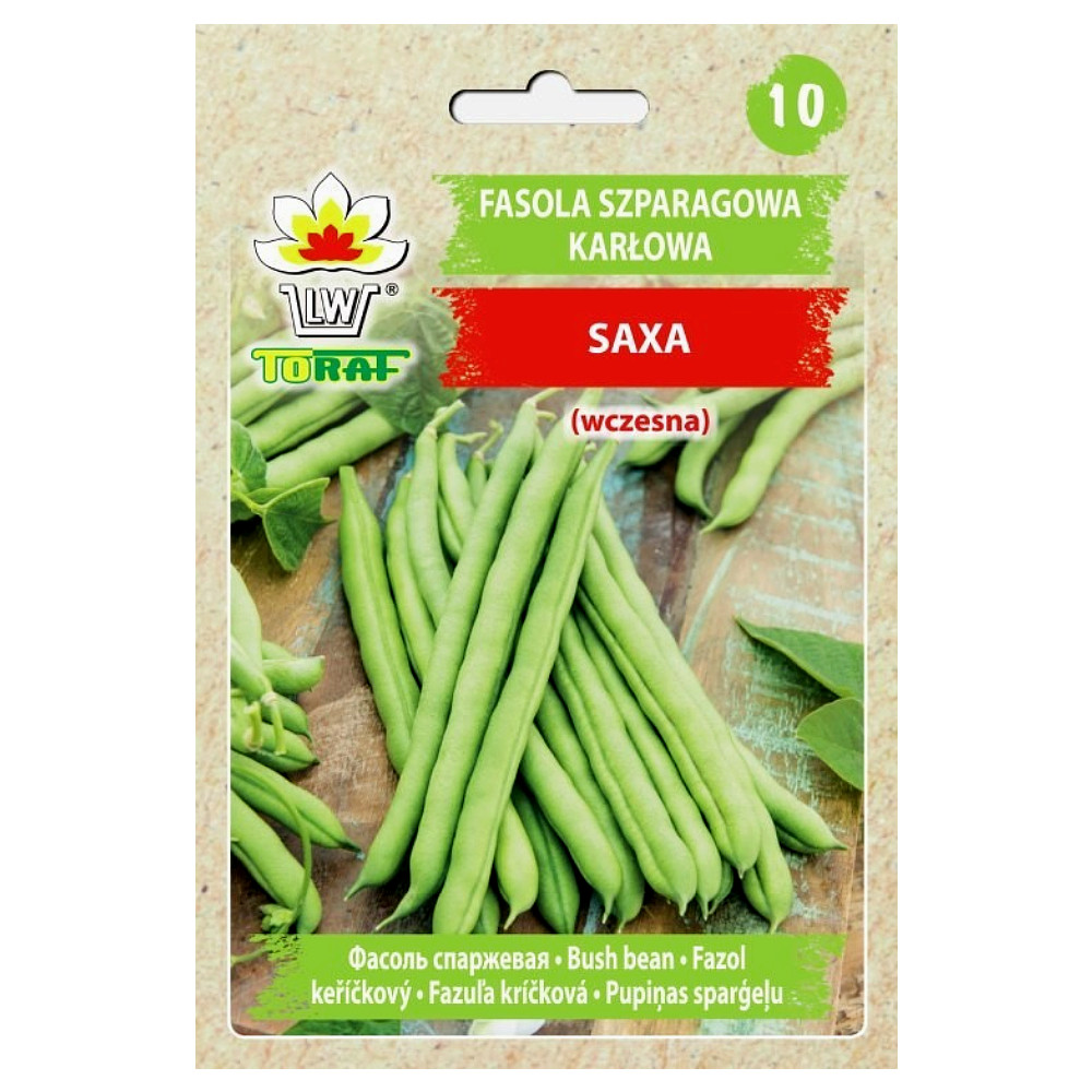 Zielona fasolka szparagowa Saxa karłowa - nasiona 30 g - Toraf