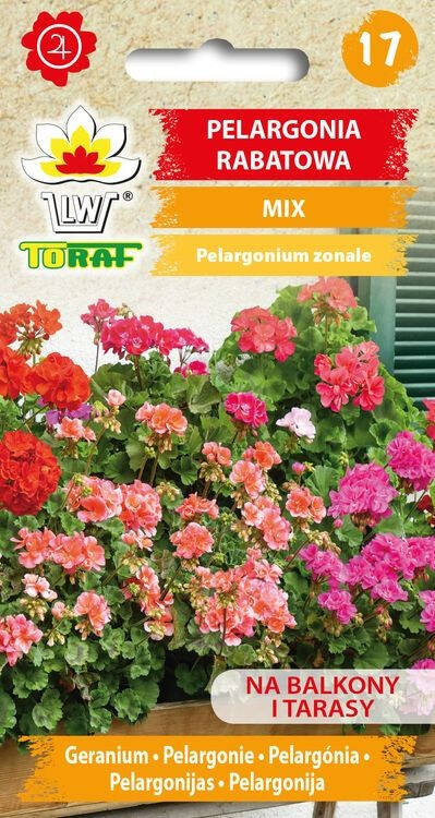 Pelargonia rabatowa Mix mieszanka nasiona kwiatów 0,1 g Toraf kwiaty