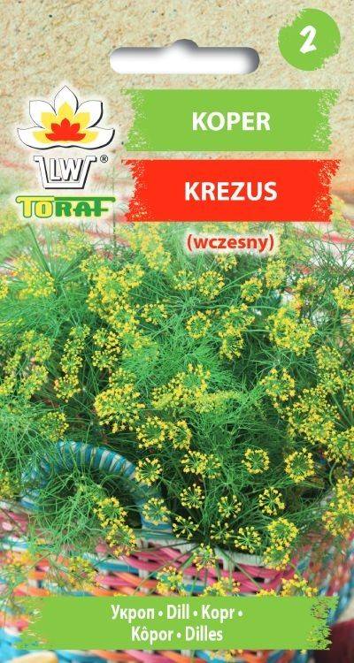 Koper ogrodowy Krezus wczesny - nasiona 1 g - Toraf