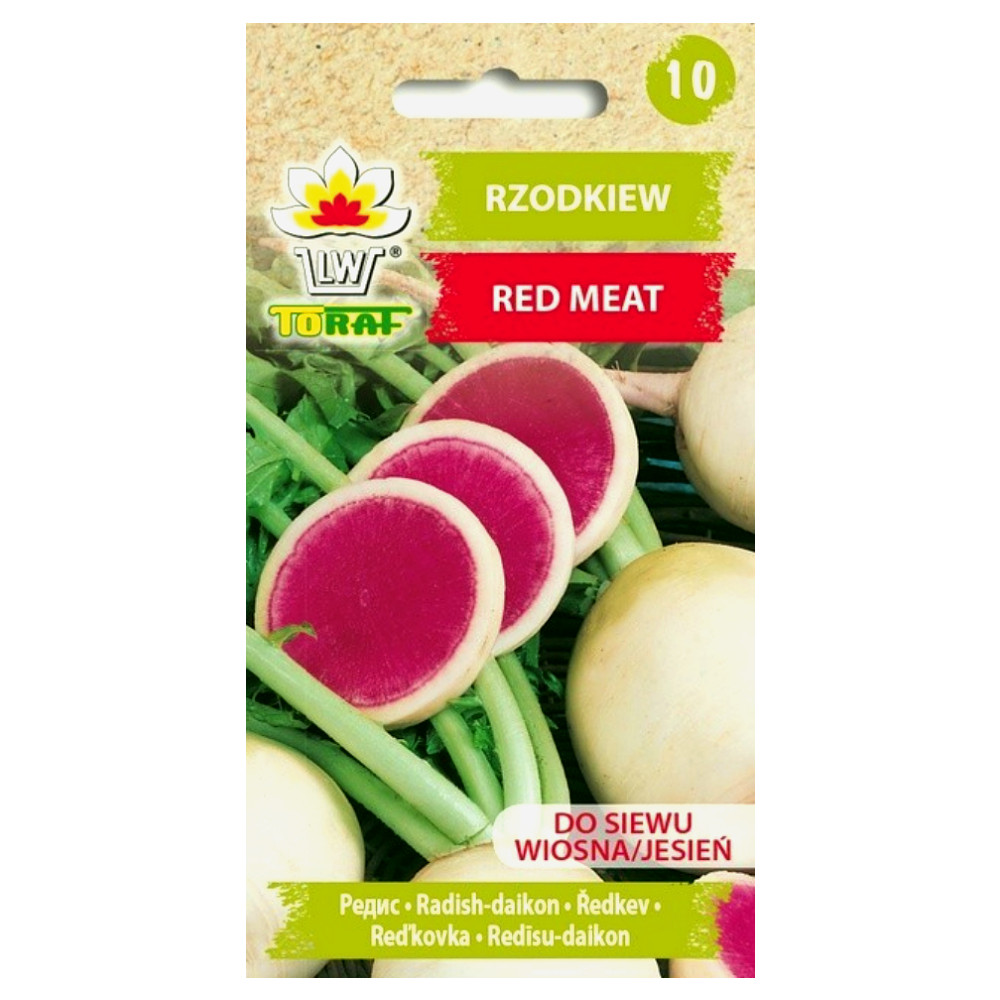 Czerwona Rzodkiew Red Meat słodka chińska rzepa - nasiona 1 g - Toraf
