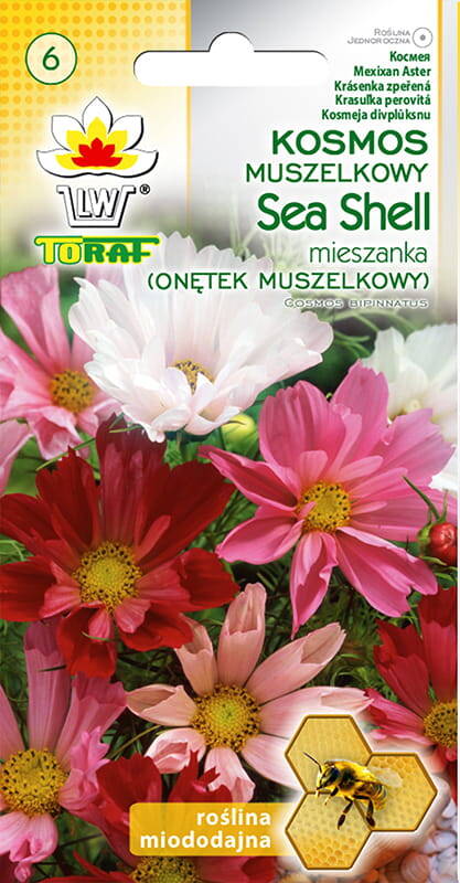 Onętek muszelkowy Sea Shell Kosmos mieszanka nasiona 0,5 g Toraf roślina miododajna