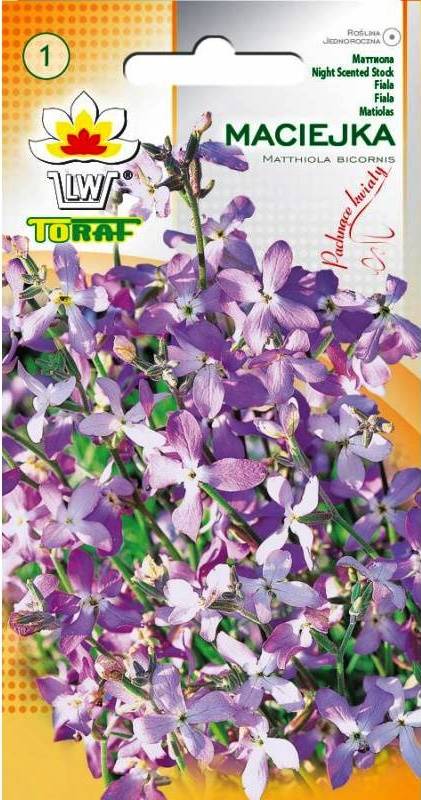 Maciejka nasiona kwiatów pachnących - nasiona 3 g - Toraf