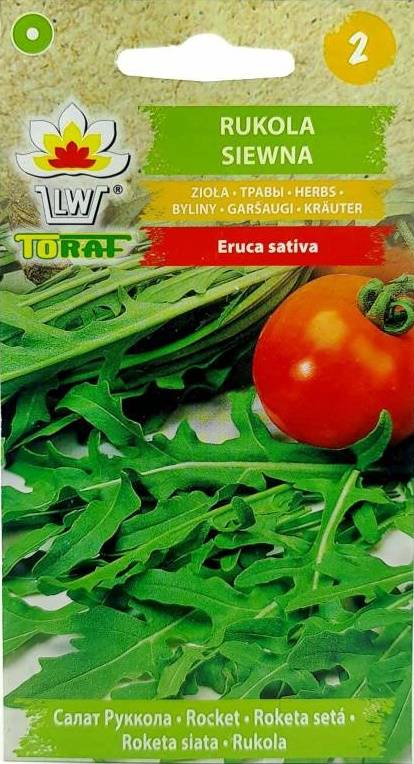 Rukola siewna sałatkowa zioła - nasiona 1 g - Toraf