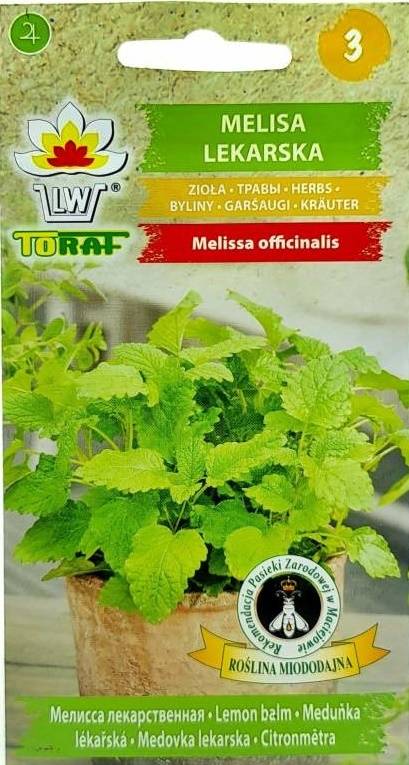 Melisa lekarska zioła - nasiona 50 g- Toraf