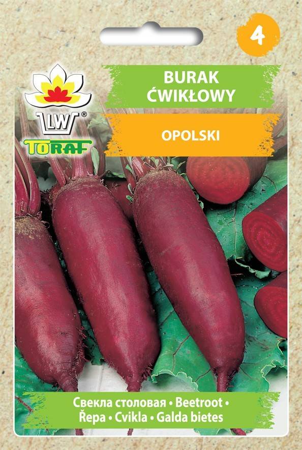 Burak ćwikłowy Opolski długi odmiana plenna - nasiona 10 g - Toraf