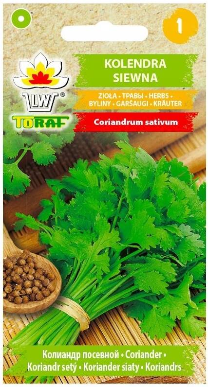 Kolendra siewna zioła - nasiona 2 g- Toraf