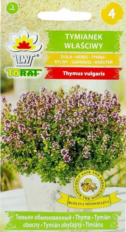 Tymianek właściwy zioła - nasiona 50 g - Toraf