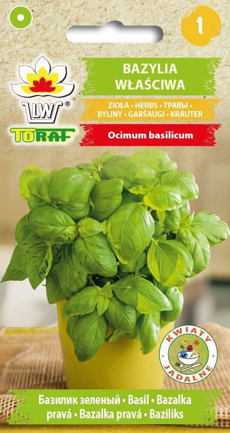 Bazylia właściwa zioła byliny - nasiona 1 g - Toraf