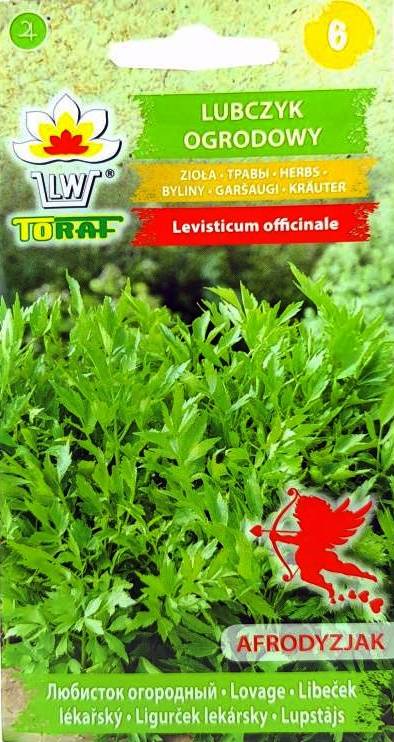 Lubczyk ogrodowy zioła - nasiona 1 g- Toraf