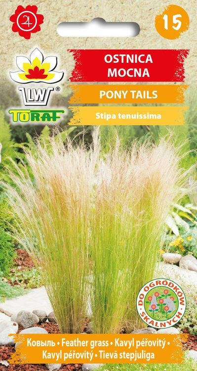 Trawa ozdobna Ostnica Mocna Pony Tails puszysta - nasiona 0,1 g - Toraf