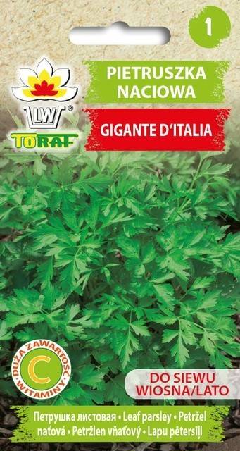 Pietruszka naciowa Gigante de Italia plenna - nasiona 2 g - Toraf