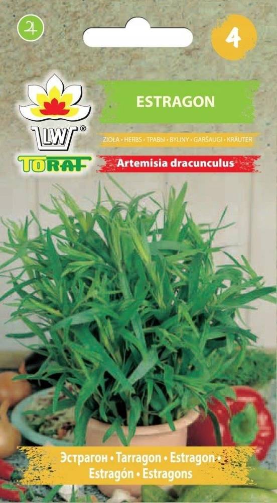 Estragon zioła - nasiona 1 g- Toraf