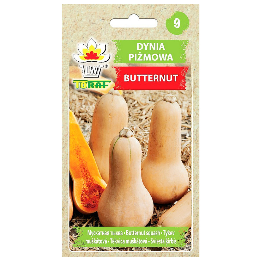 Dynia piżmowa Butternut - nasiona 5 g - Toraf