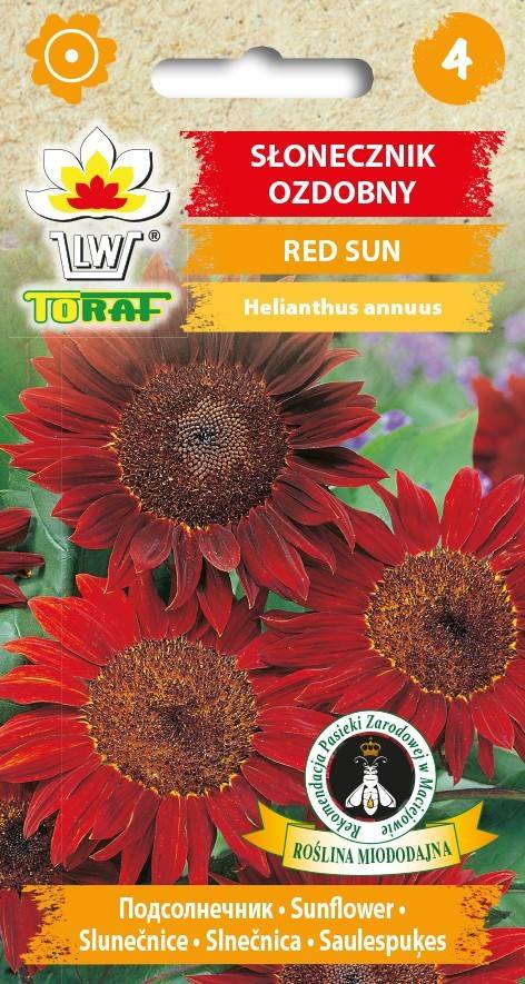 Słonecznik Ozdobny Czerwony Red Sun - nasiona 2 g - Toraf