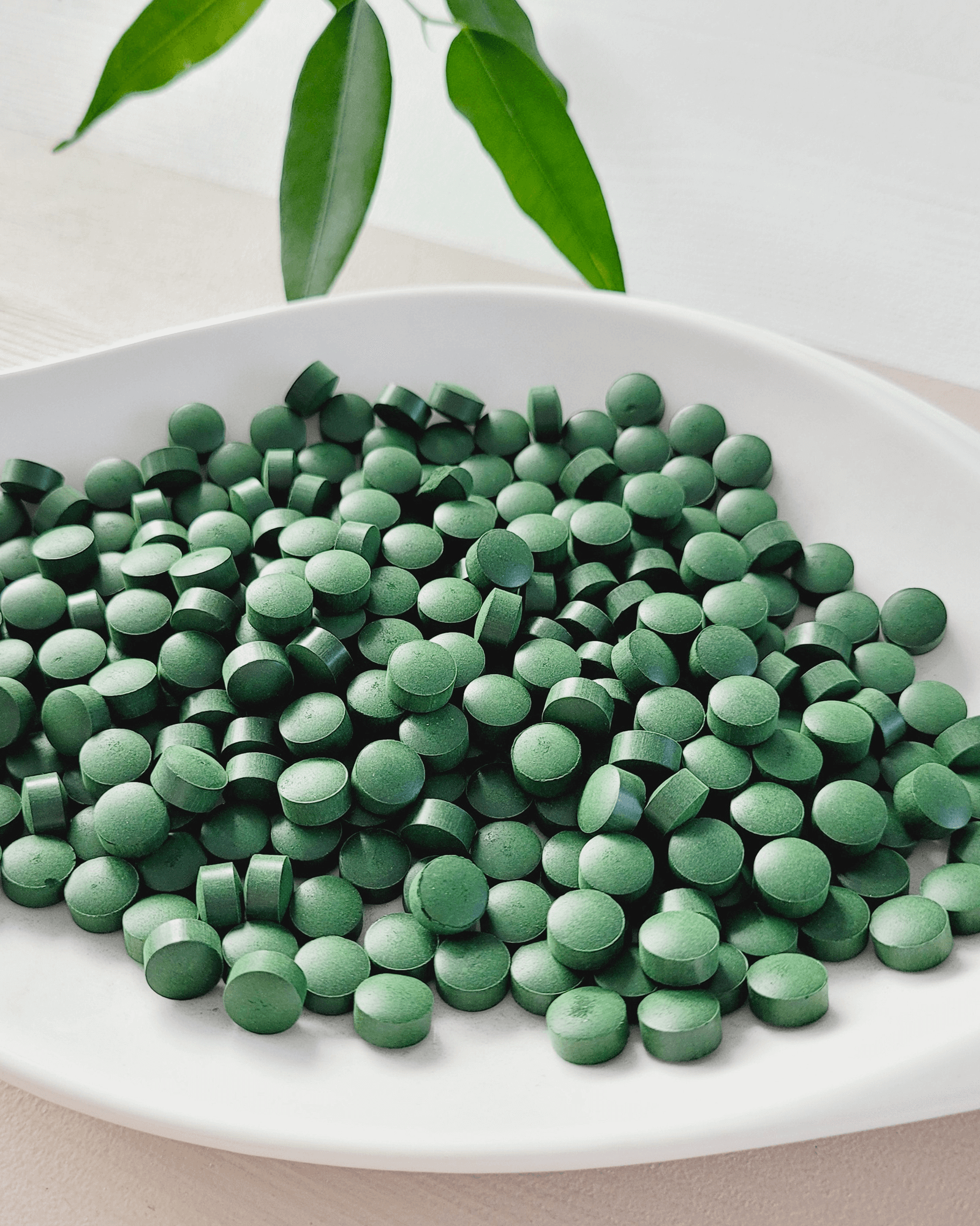 chlorella, chlorella tabletki, algi, zielona, suplement