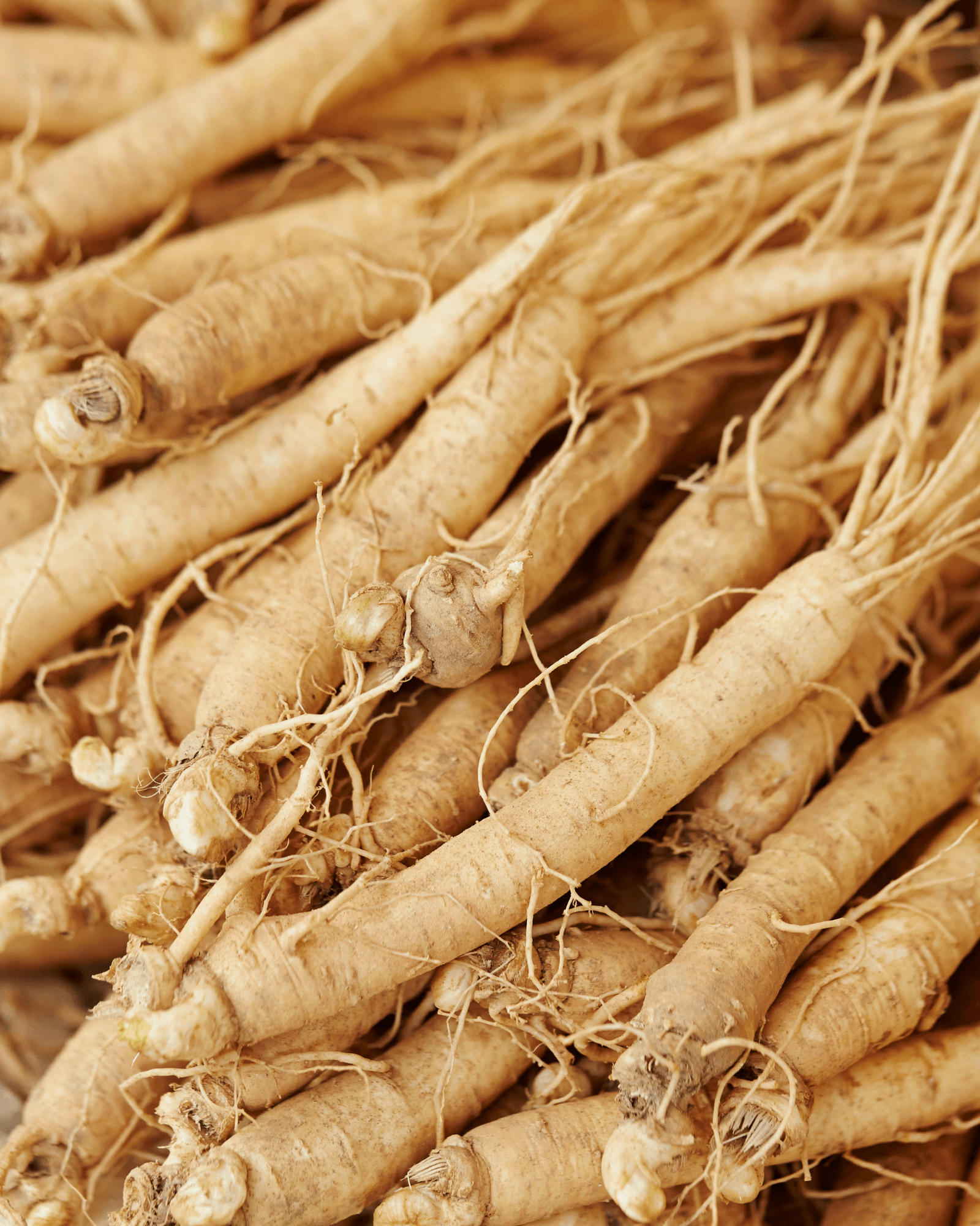 żeń-szeń, adaptogeny, superfoods