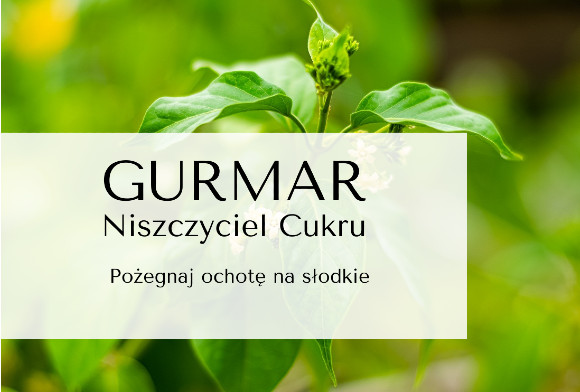 Gurmar czyli Niszczyciel Cukru. Poznaj jego odchudzające właściwości i naturalne rozwiązania, które hamują łaknienie