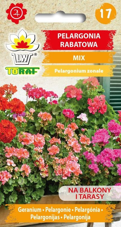 Pelargonia rabatowa Mix mieszanka nasiona kwiatów 0,1 g Toraf kwiaty