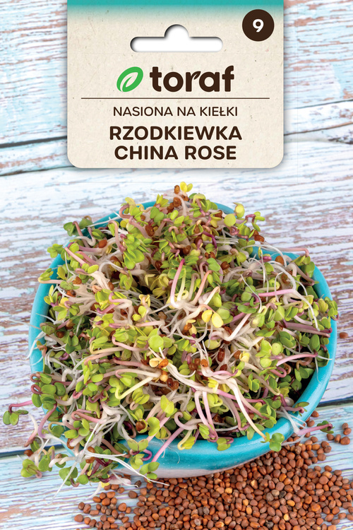 Rzodkiewka China Rose nasiona na kiełki rzodkiewki 20 g Toraf