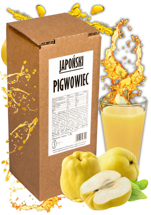 Sok z pigwowca Japoński Pigwowiec Sadvit 1,5 L NFC