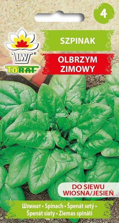 Szpinak Olbrzym Zimowy 10 g nasiona Toraf