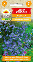 Lobelia zwisająca niebieska - nasiona 0,1 gr - Toraf