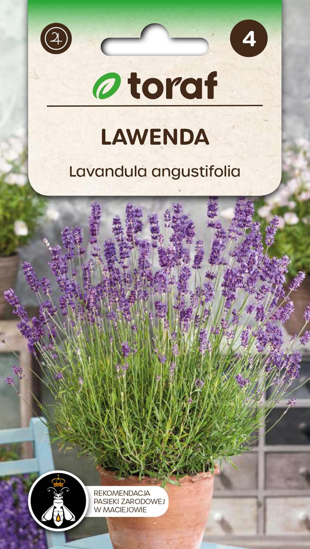 Lawenda zioła byliny - nasiona 0,2 g - Toraf