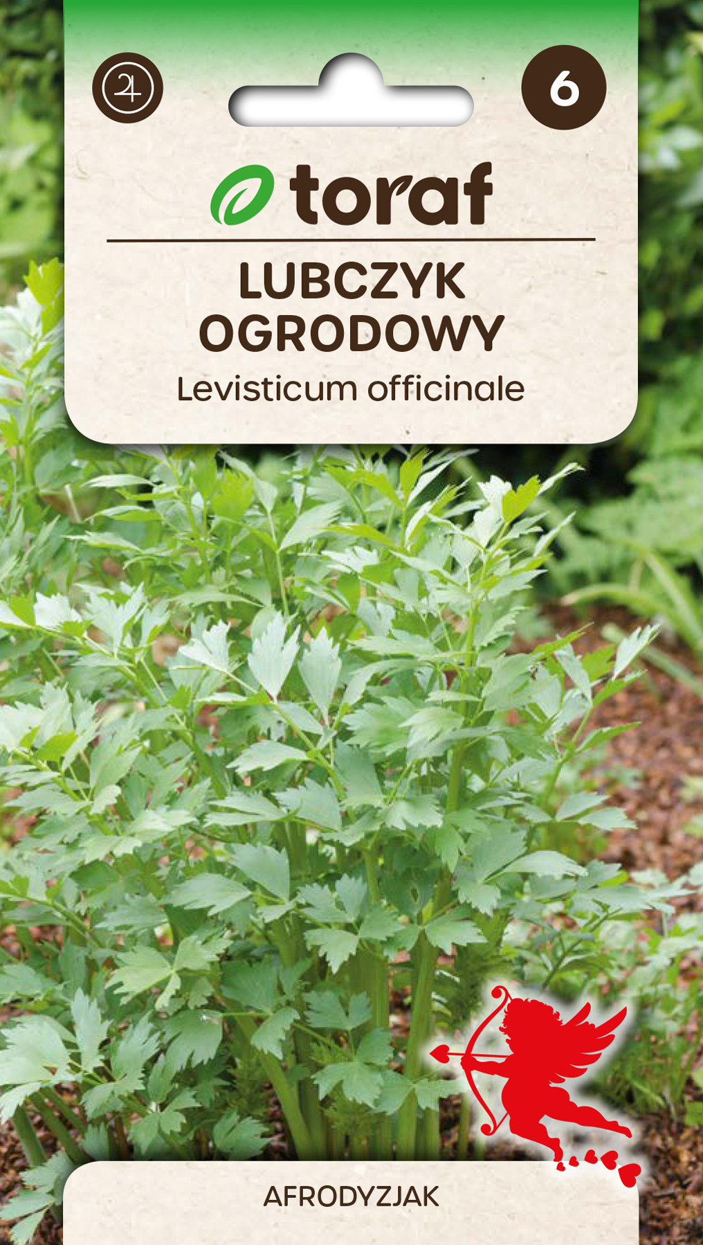 Lubczyk ogrodowy zioła - nasiona 1 g- Toraf
