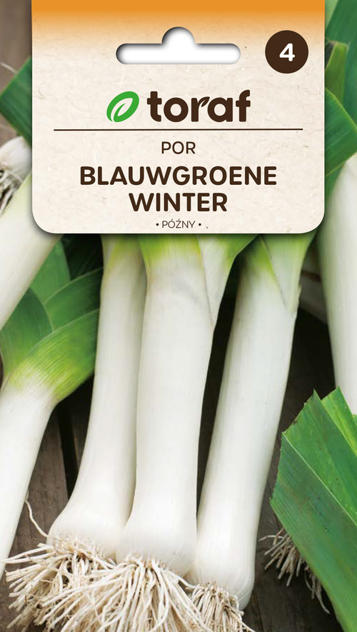 Por Blauwgroene Winter późny 1 g nasiona Toraf