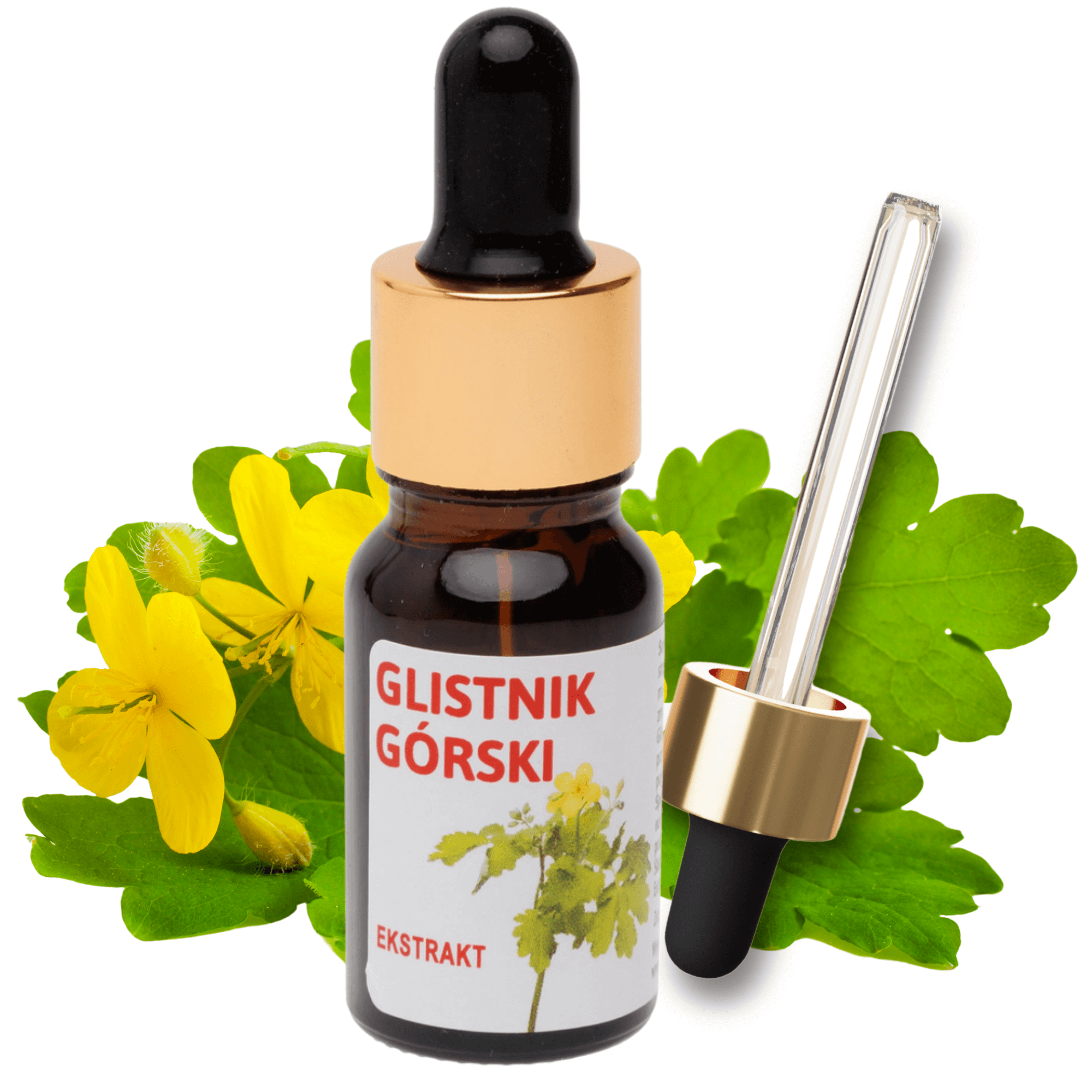 Glistnik Górski Ekstrakt Jaskółcze Ziele 10 Ml Biomika - Sklep ...