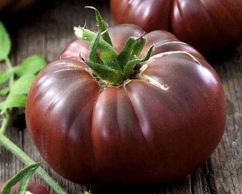 Ciemny Pomidor gruntowy Czarny Książę  Noire de Crime - nasiona 0,5 g - Toraf