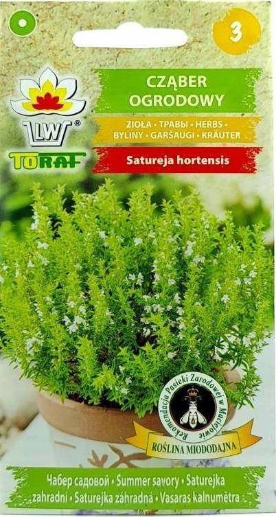 Cząber ogrodowy zioła - nasiona 2 g- Toraf