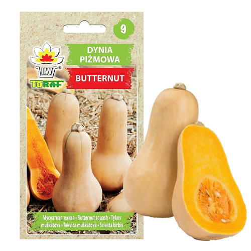 Dynia piżmowa Butternut - nasiona 5 g - Toraf