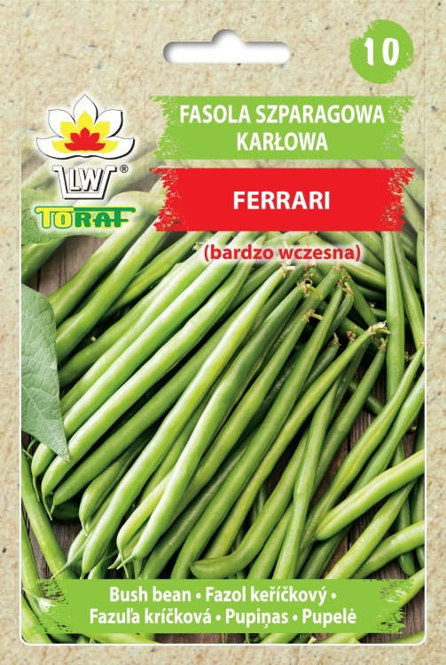 Fasola szparagowa karłowa Ferrari bardzo wczesna - nasiona 30 g Toraf