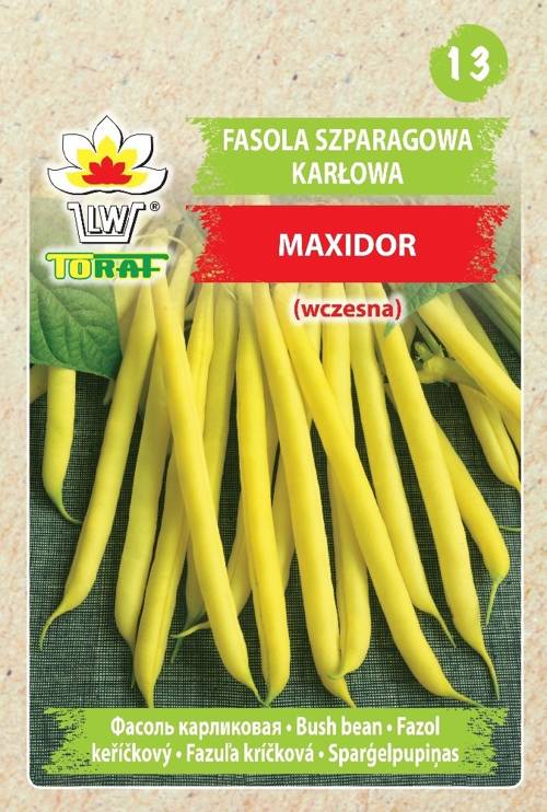 Fasola szparagowa karłowa Maxidor wczesna żółta fasolka - nasiona 50 g - Toraf