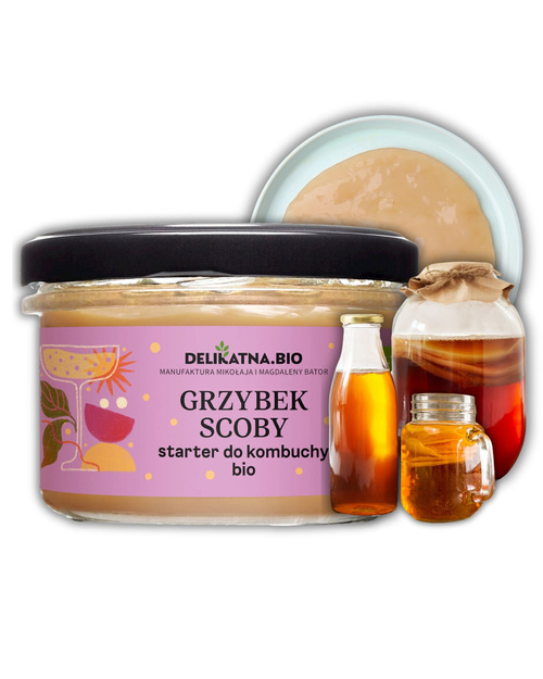 Grzybek Scoby starter do kombuchy BIO 150 g Delikatna