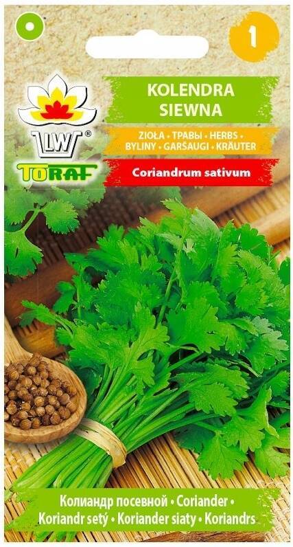 Kolendra siewna zioła - nasiona 2 g - Toraf