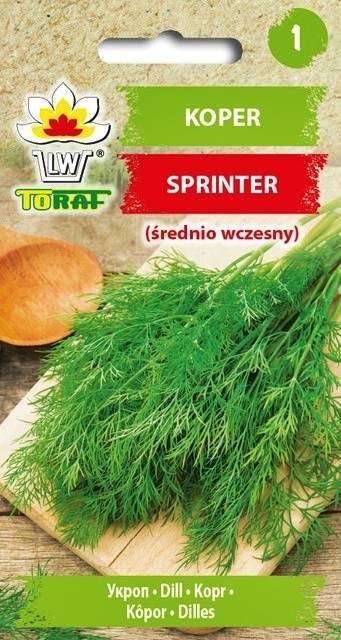 Koper Sprinter średniowczesny zioła - nasiona 5 g - Toraf
