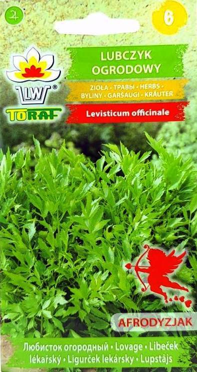 Lubczyk ogrodowy zioła - nasiona 1 g - Toraf
