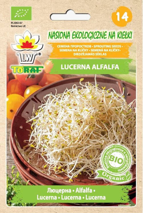 Lucerna Alfalfa nasiona na kiełki Ekologiczne BIO Organic 20g Toraf