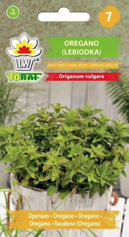 Oregano Lebiodka zioła - nasiona 0,5 g - Toraf