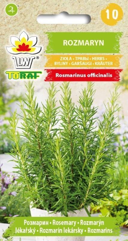 Rozmaryn zioła - nasiona 0,1 g- Toraf