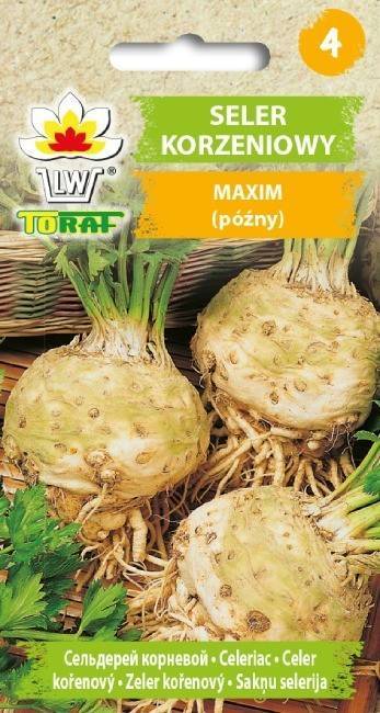 Seler korzeniowy Maxim późny - nasiona 1 g - Toraf
