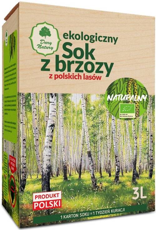 Sok z brzozy Naturalny Ekologiczny Bio 3 L Dary Natury