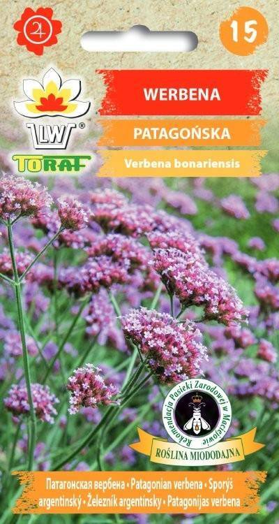 Werbena Patagońska fioletowa - miododajna - nasiona 0,2 g - Toraf
