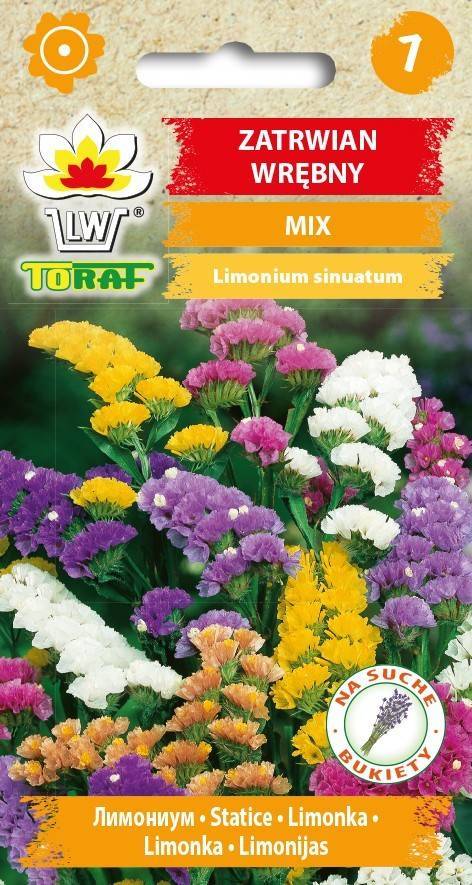 Zatrwian Wrębny MIX kolorów suszki - nasiona 0,5 g - Toraf
