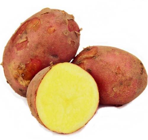 Ziemniaki czerwone świeże Ekologiczne ok. 2 kg siatka - Bio Planet